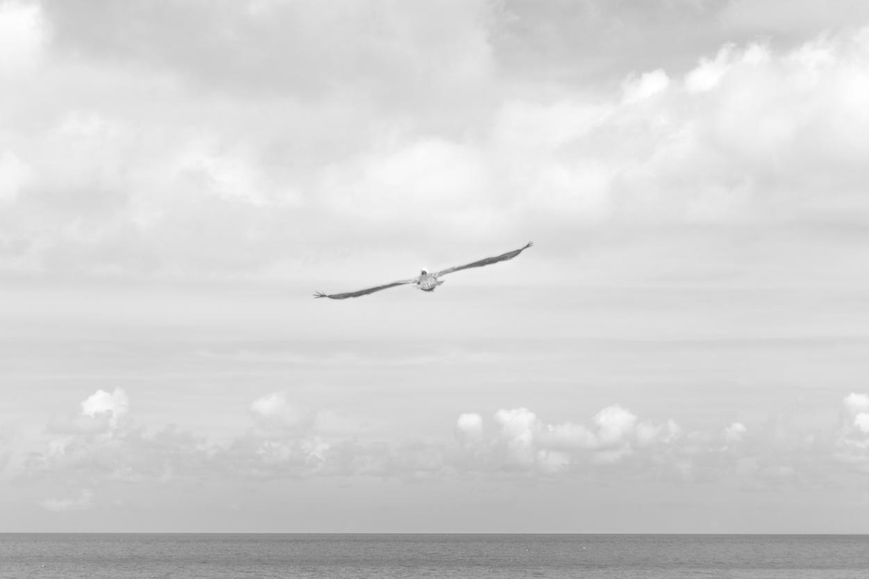 Odit esse ipsam consectetur officiis beatae et minus atque voluptatem exercitationem